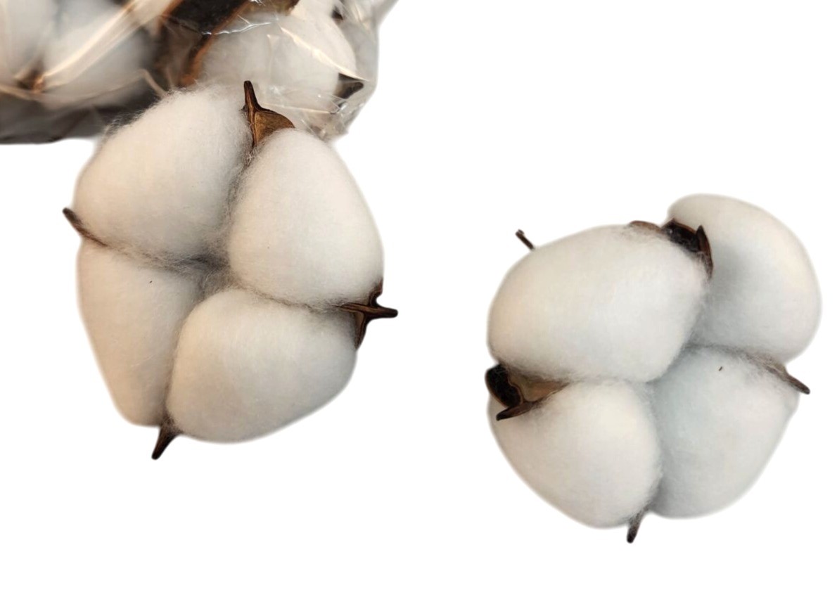 Faux Cotton Pods Dried Natural Husks Craft Supply Pack Of 12 For Wreaths & Flora