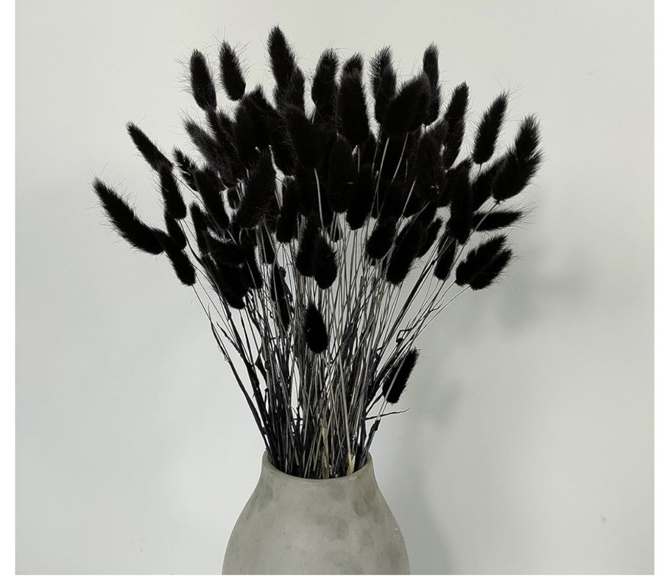 110 Pcs Bunny Tails Dried Flowers, Natural Dried Bunny Tails 110 Pcs Black