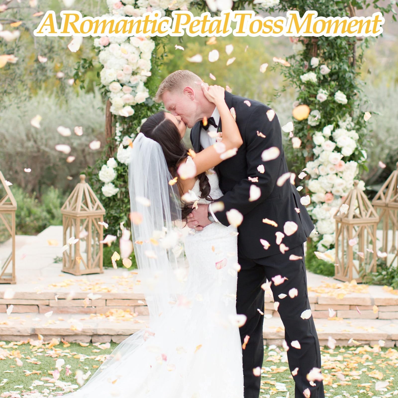 500 PCS Dried Real White Rose Petals Freeze Preserved Wedding Party Confetti