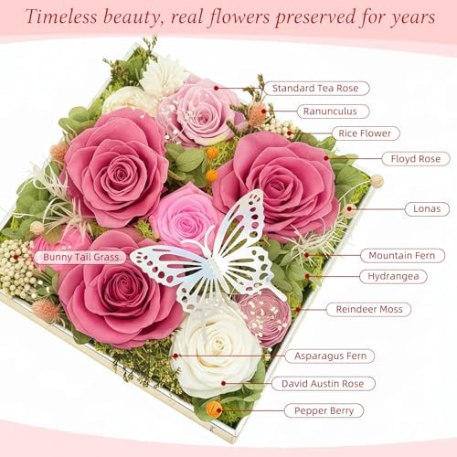 HipTree Preserved Pink & White Rose with Butterfly – Forever Eternal Real Austin