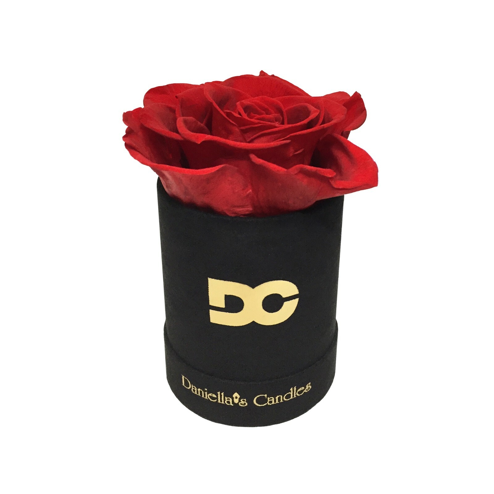 Personalized Single Long Lasting Red Rose In Black Suede Box, Long Lasting