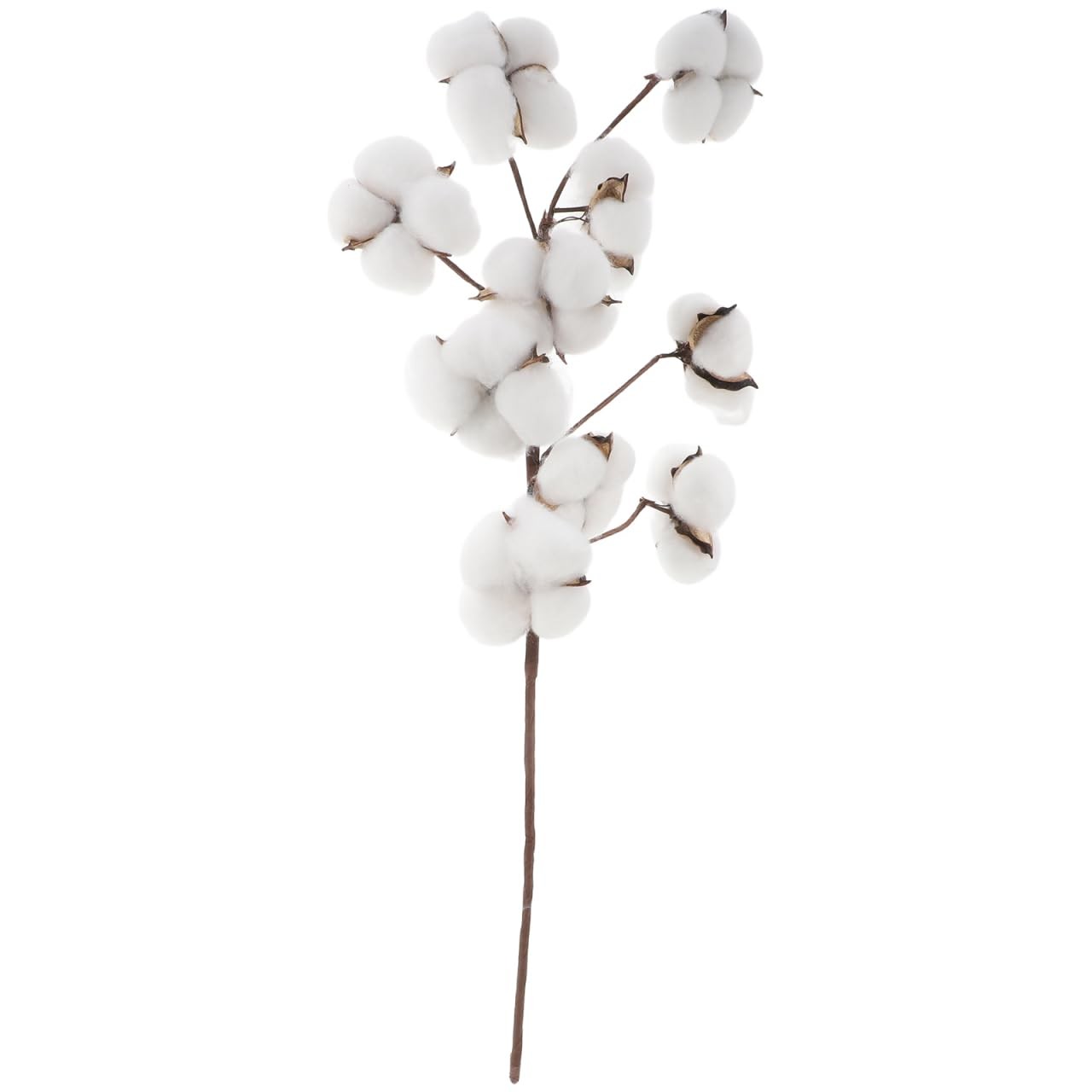 10pcs Faux Dried Cotton Stems – Natural Dried Cotton Flowers Plants for Vase …