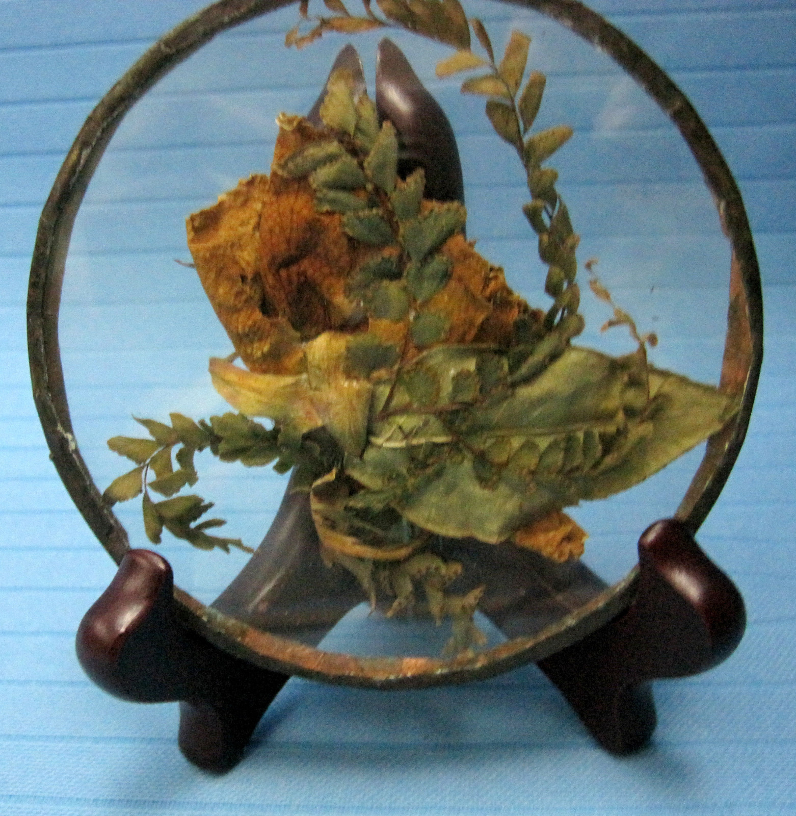 Real Rose Dried Natural Flower Sealed in Glass on Wood Stand