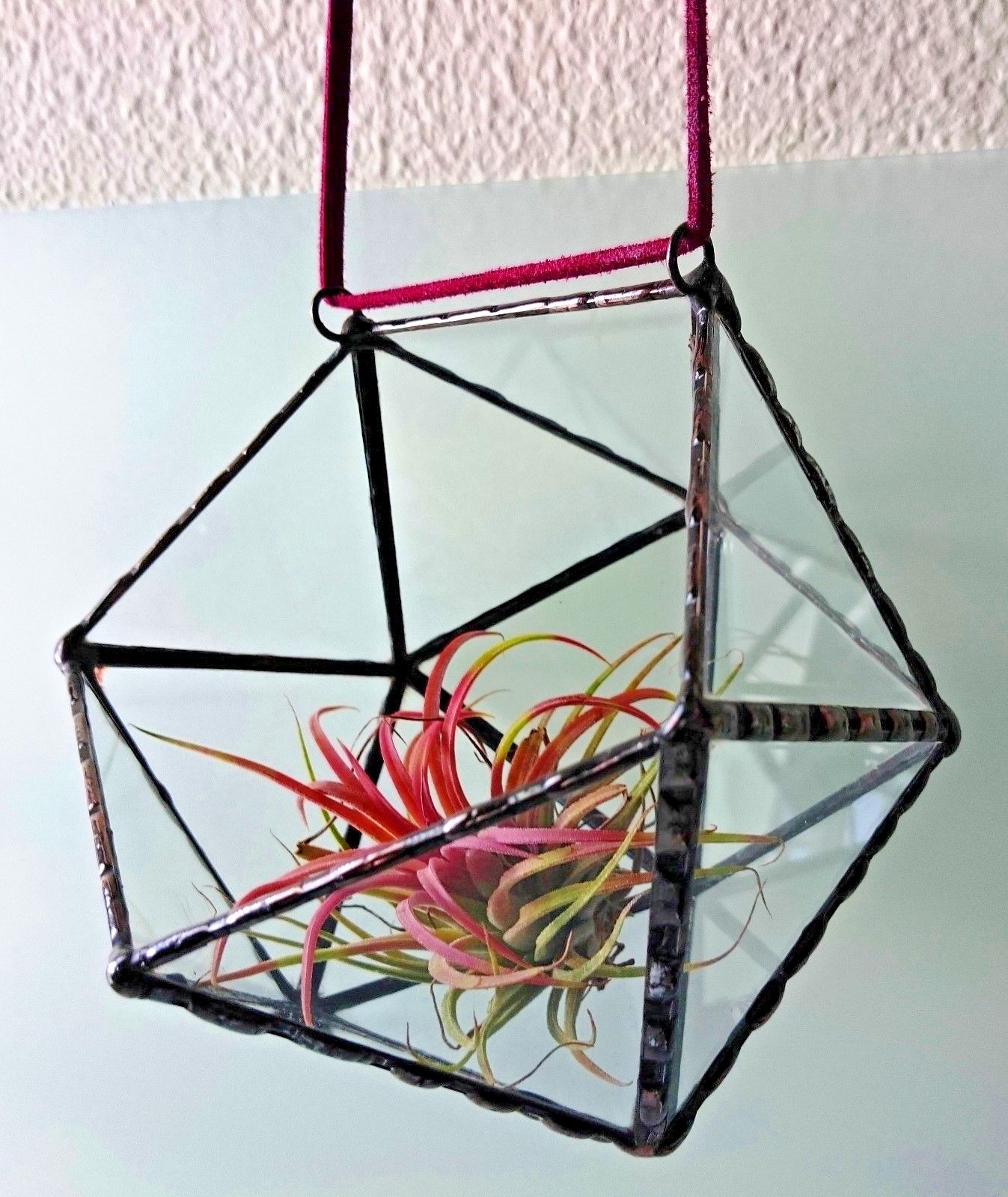 Stained Glass Terrarium Wall Hanging Black Frame Transparent, Planter For Indoor