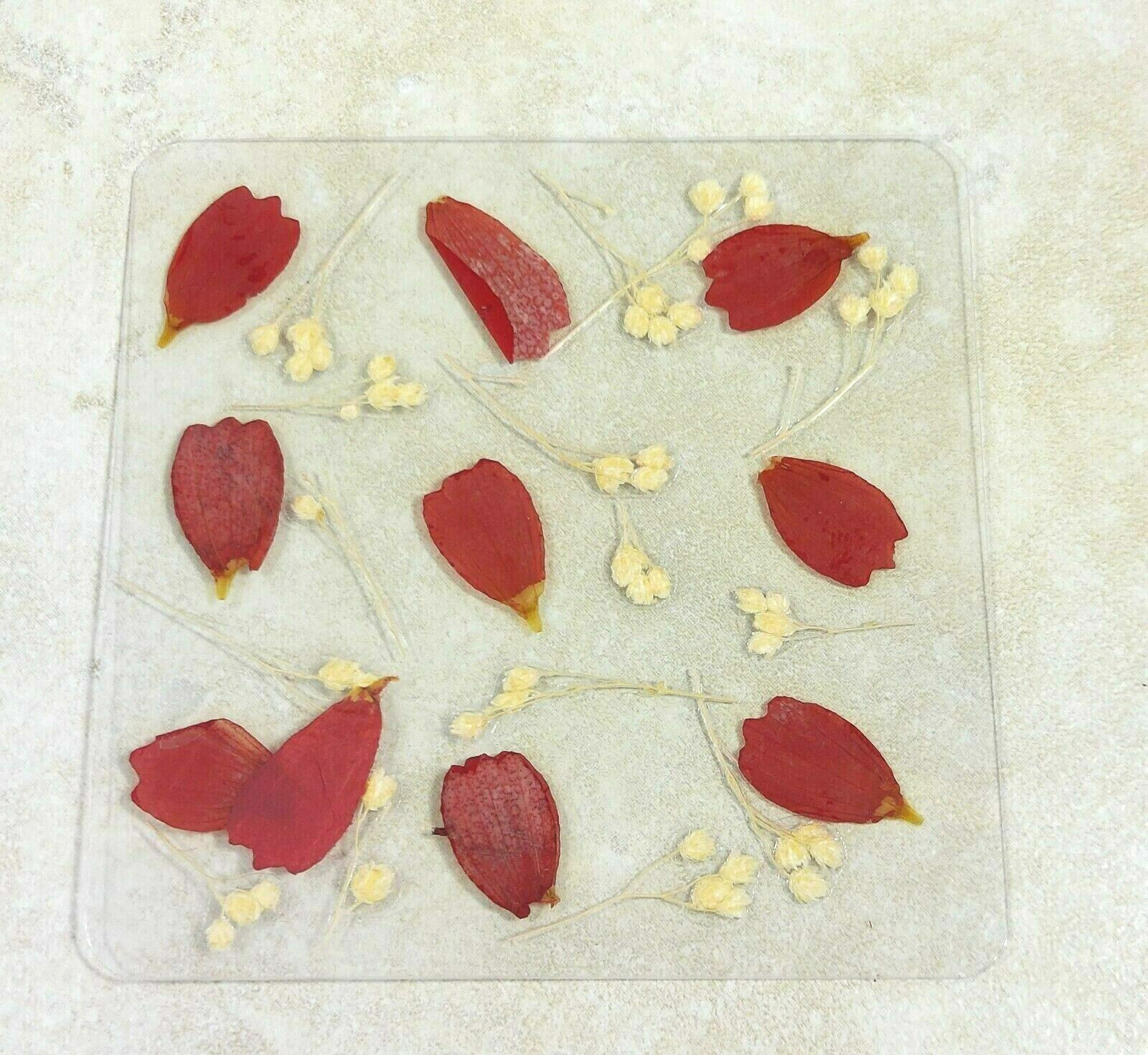 Dried Pressed Flowers Natural Flower Petal Set Resin Art Design Home Décor Gift