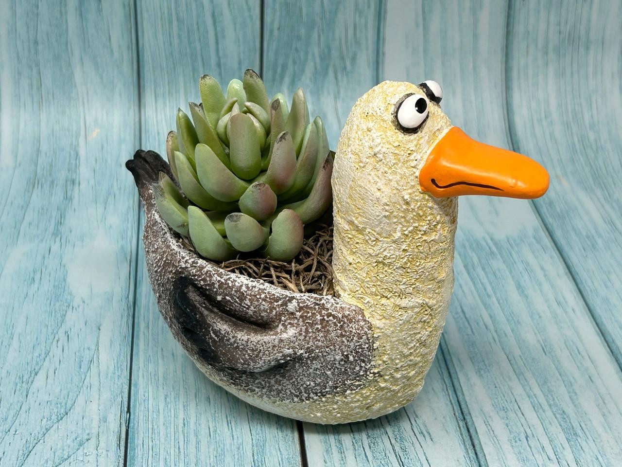 6.5″ Potted Lg SEAGULL Blob House pot with Artificial Senecio & Echeveria Cabbag