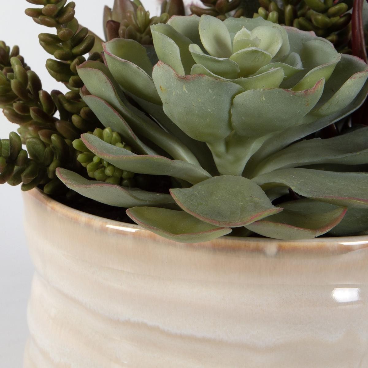Uttermost 60209 Mesa Succulent Green with Textured Tan Glaze Succulent Accent