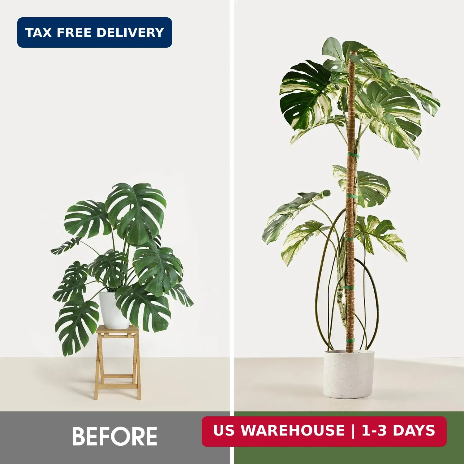 2 Pack Moss Pole, 63 Inch Bendable Moss Poles for Plants Monstera Long for Climb