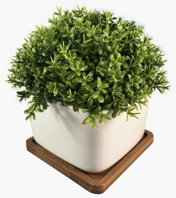 Peach Tree Farm Small Fake Plant Artificial Faux Greenery Clover with Tray