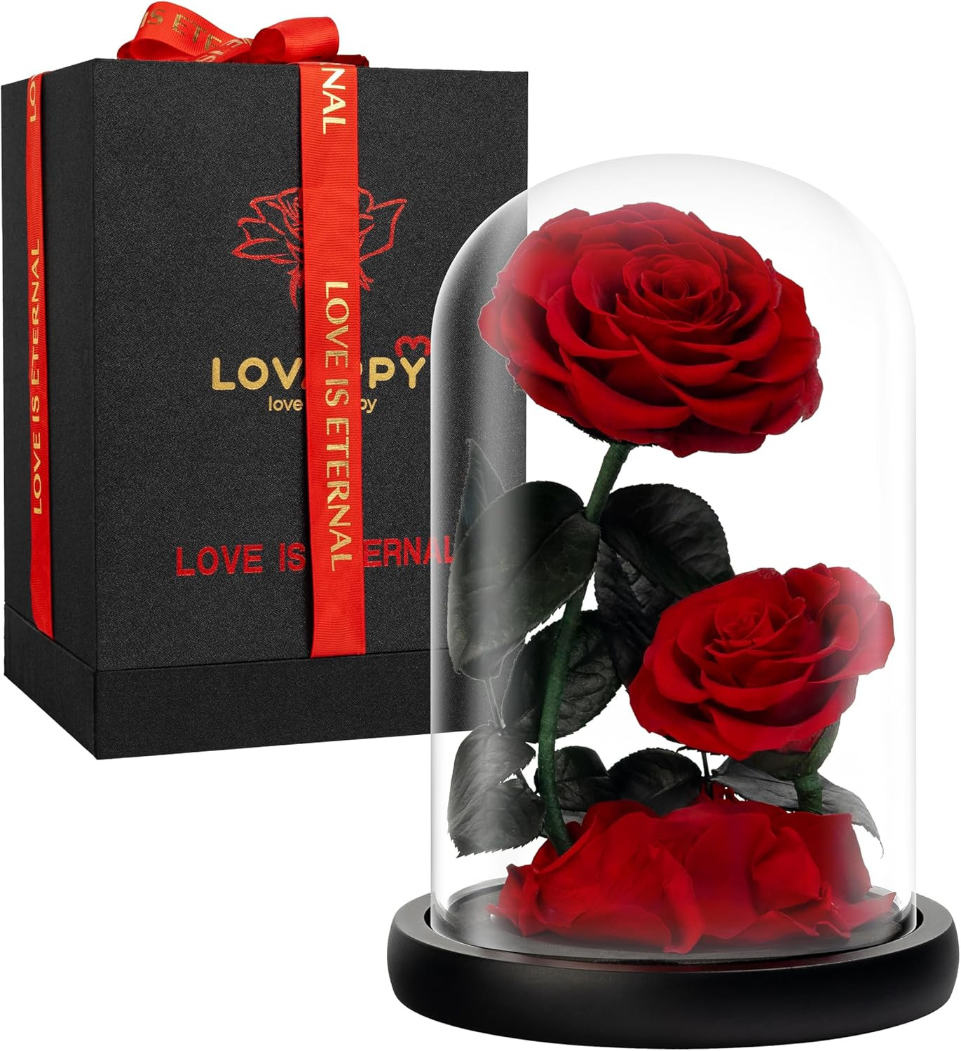 Eternal Flower in a Glass Dome: Preserved Rose – the Perfect Forever Infinity Ro
