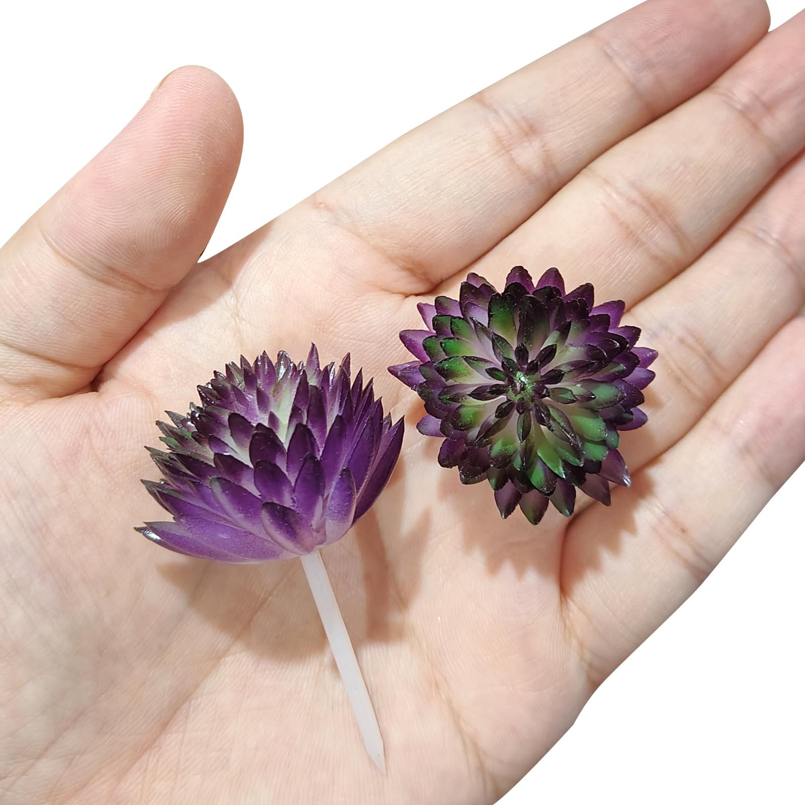 Mini Artificial Succulents, 2 Pack Unpotted Faux Succulent Picks Fake Succule…