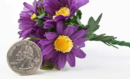Short Royal Purple African Daisy Bouquets- 2 Packs of 6 Bouquets- 12 T