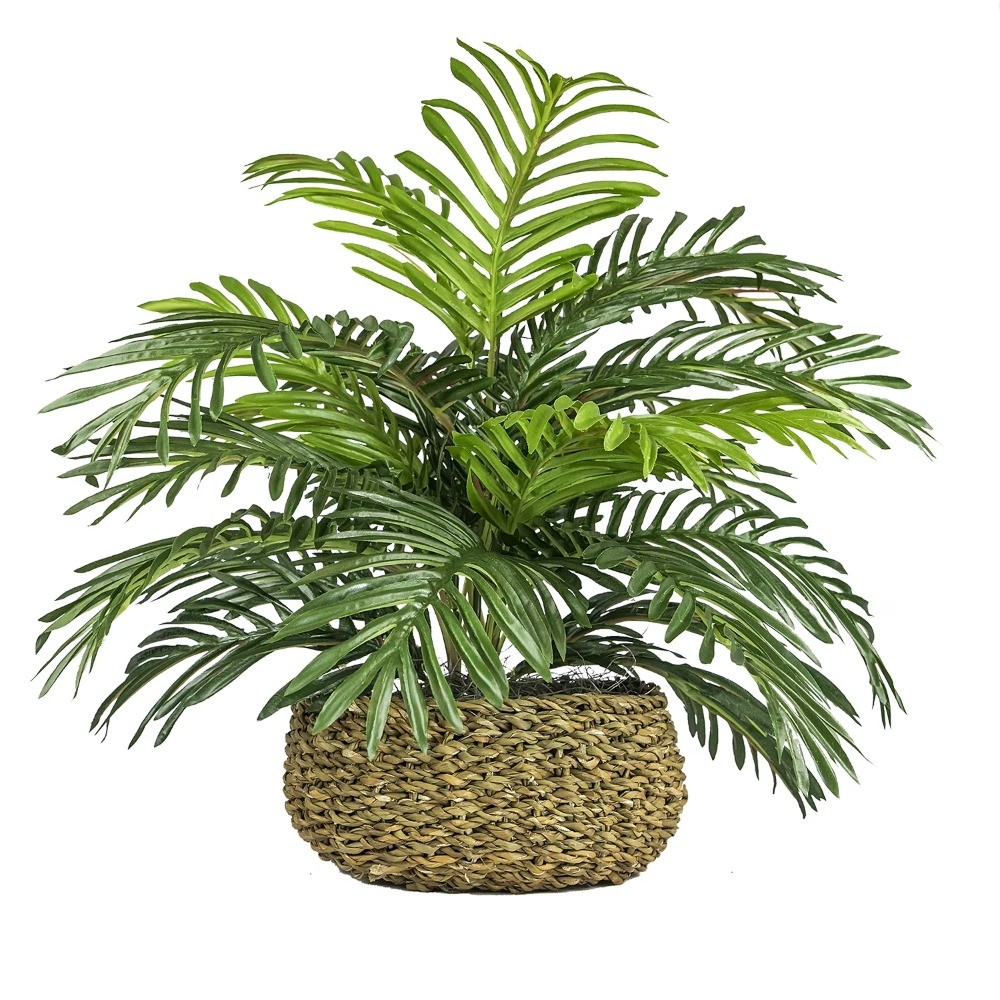 14″ Artificial Palm Plant in Low Round Handwoven Basket by LCG Florals