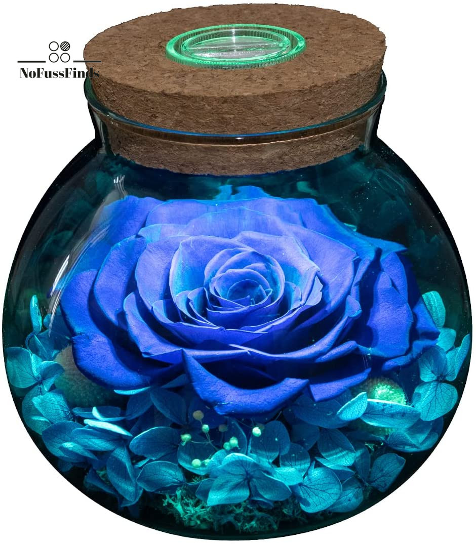 Preserved Real Roses with Colorful Mood Light Wishing Bottle, Eternal Rose，Never