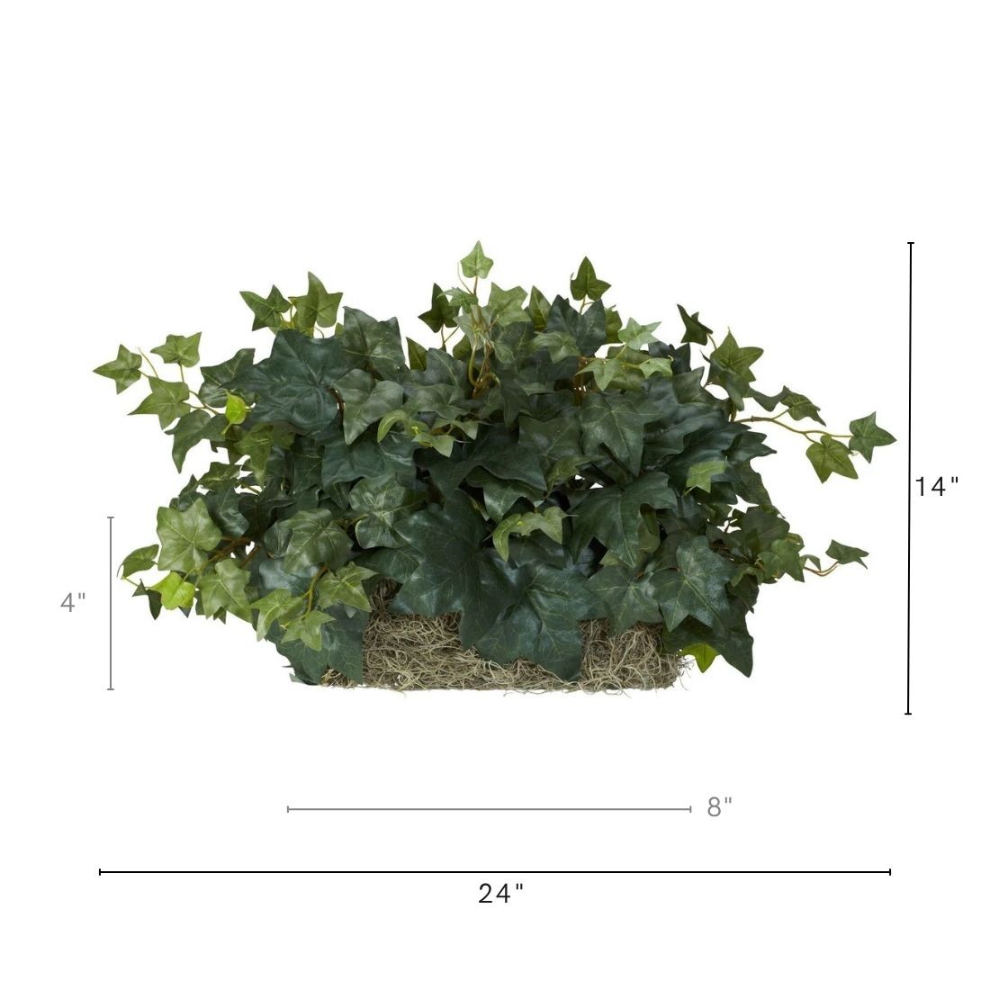 Ivy Ledge Plant (Set on Foam) Silk Plant
