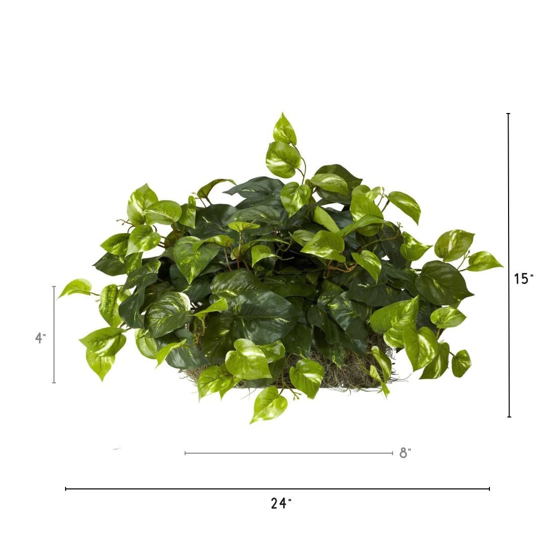 Pothos Ledge Plant (Set on Foam) Silk Plant