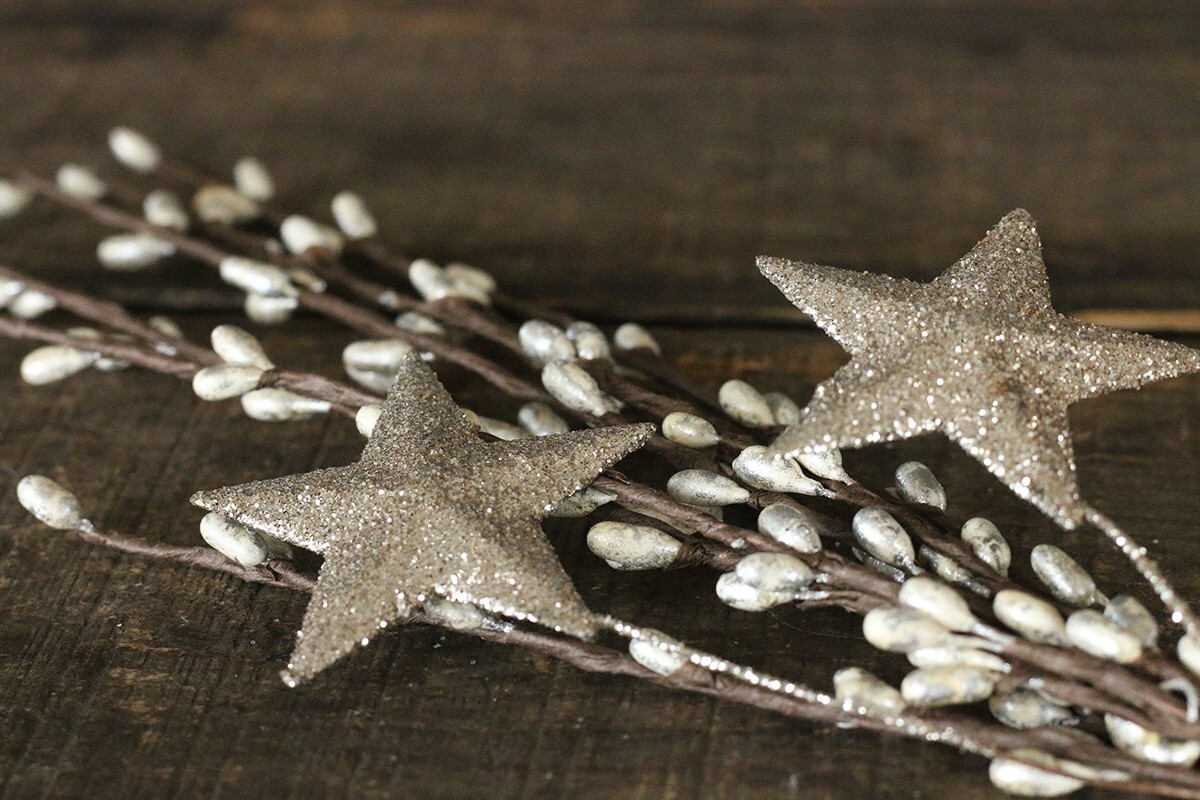 Pip Berry Floral Picks (Set/2) Platinum Silver with Glittered Stars 12 inch