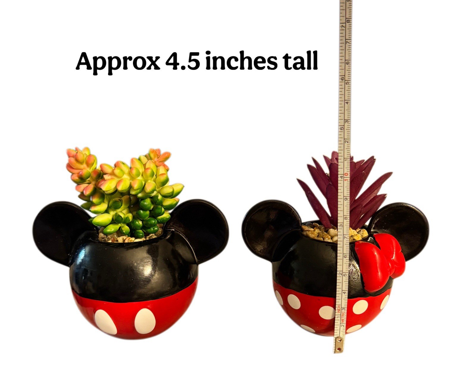 Mickey & Minnie Classic Succulent Set (2 Piece Set) Cute Plant Decor