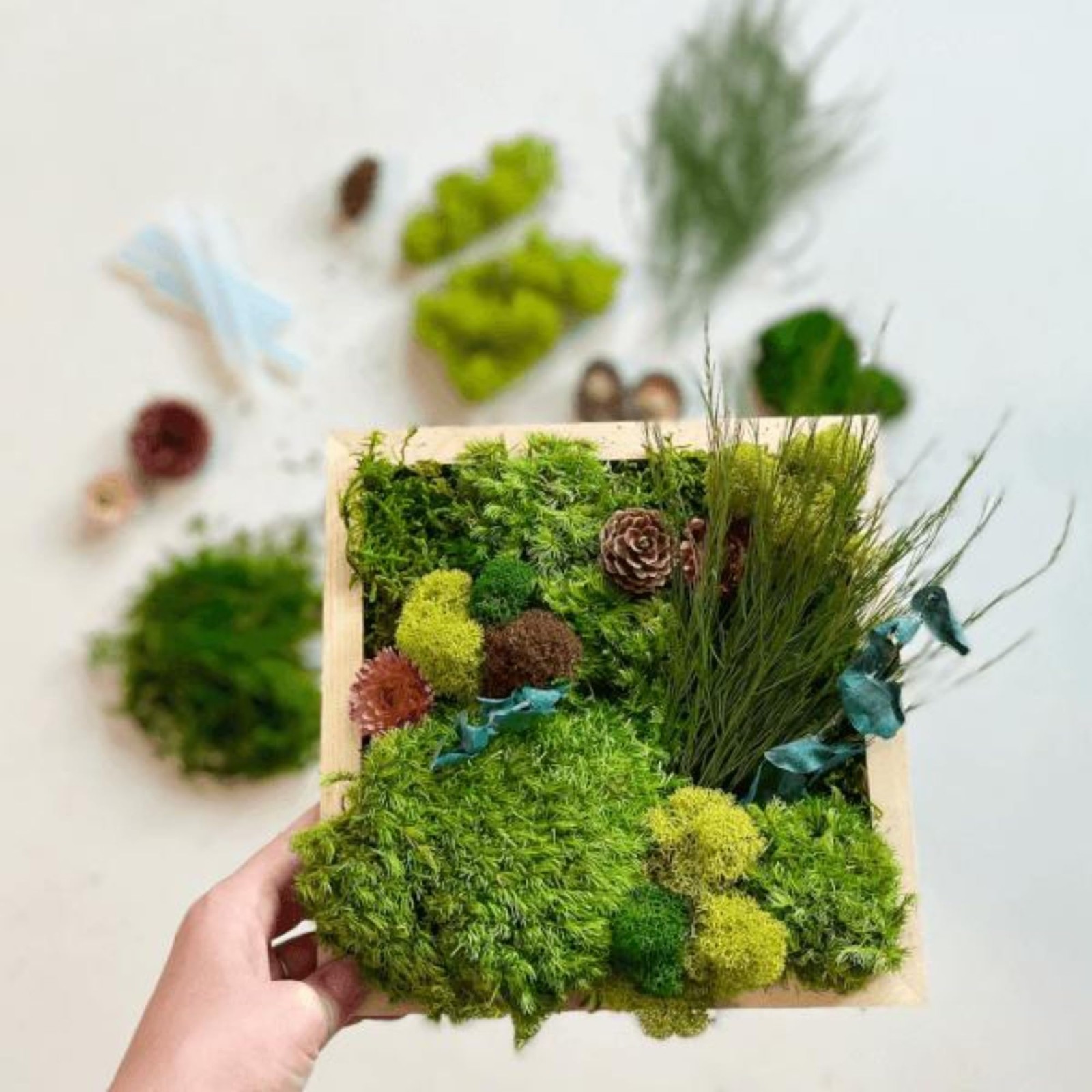 7oz/200g Artificial Moss for Indoor Plants, Faux Moss Decorative Greenery, Fa…