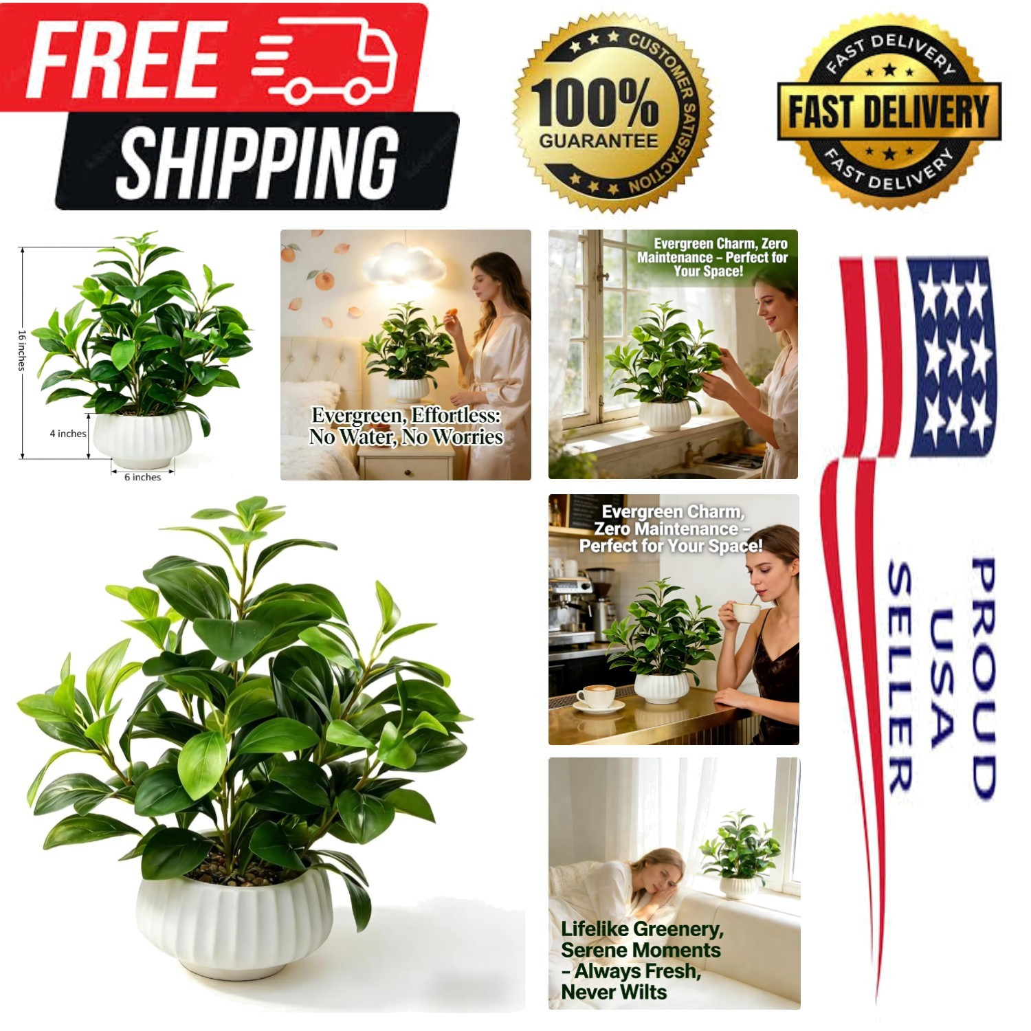 Artificial Peperomia Plants 16.5” Tall Lifelike Faux Greenery in 6” White Rib…
