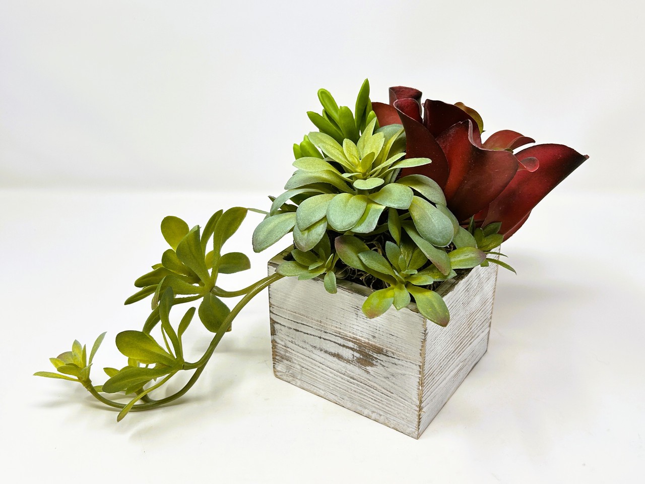 7″ Unique Artificial Red & Green mixed Succulent Garden #23, White-washed wooden