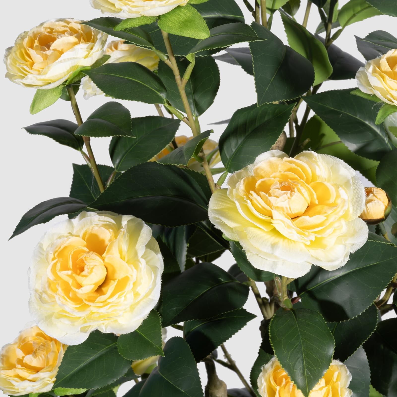 3FT Light Yellow Artificial Camellia Plants 2 Pack with Pots, Faux Flowering …