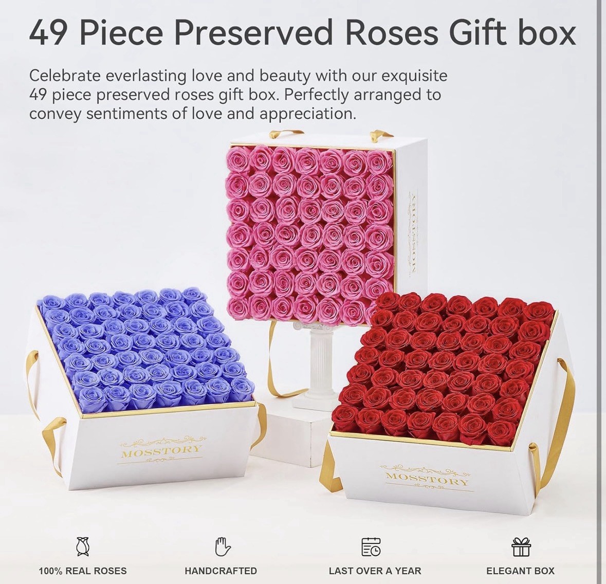Mosstory Forever Flowers 49-Piece Preserved Roses in Gift Box