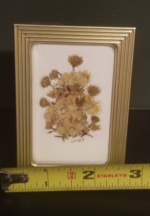 Small 2 3/8″ X 3 3/8″ Press Dried Flower #8 Multicolors Framed FF25