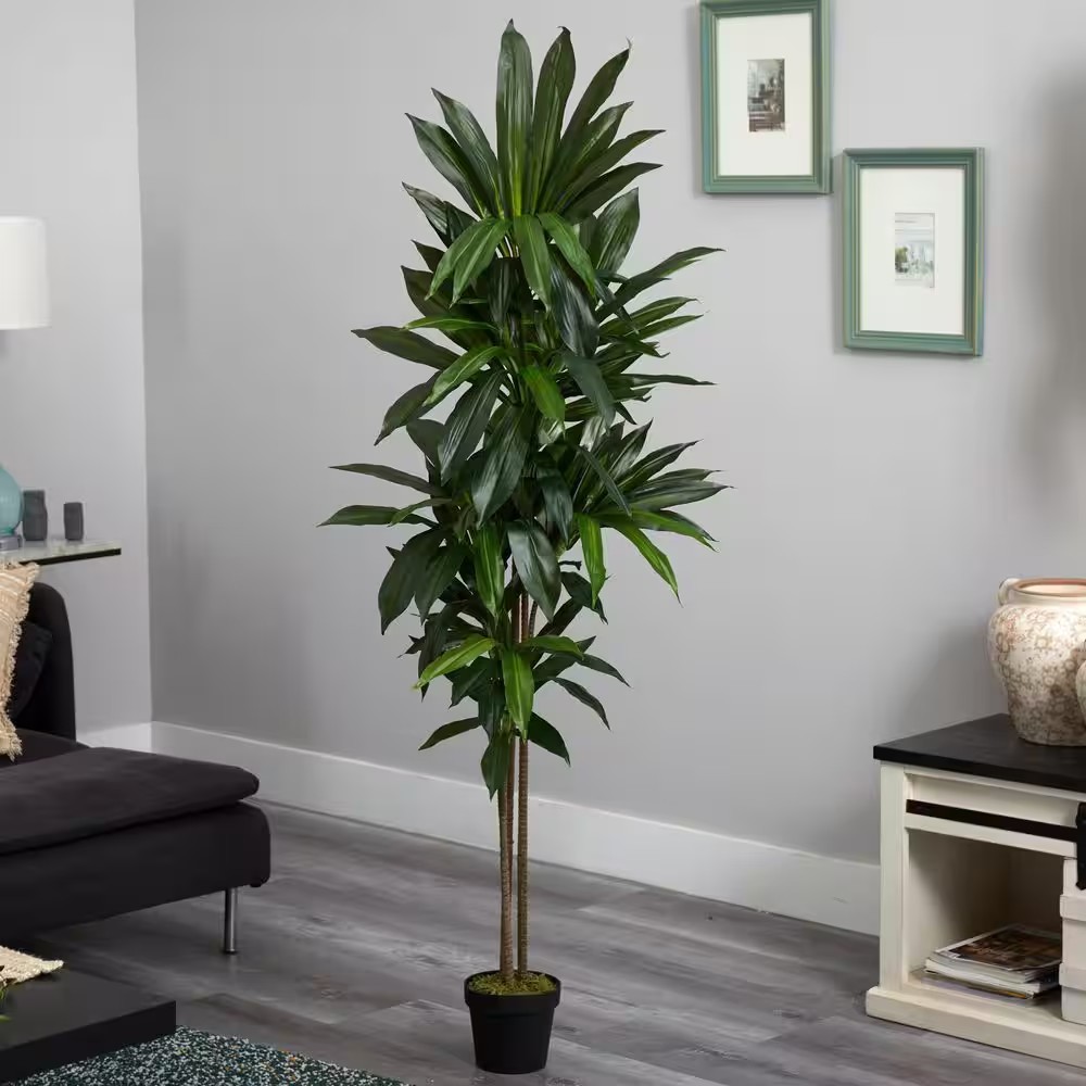 Nearly Natural Artificial Dracaena Silk Plant 6 ft. Height Classic Brown Pot