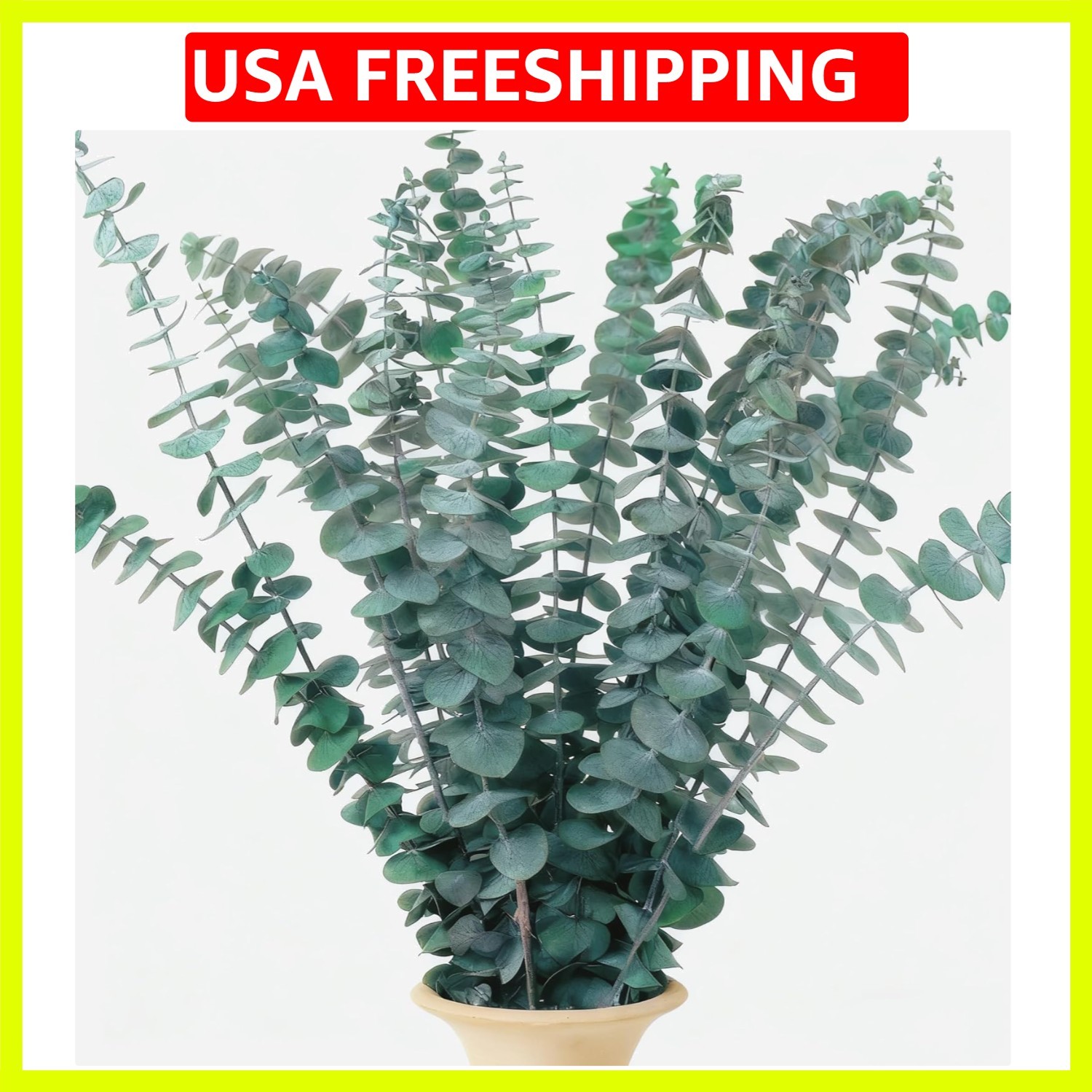 16 Pcs Dried Eucalyptus Stems, 17″ Real Preserved Eucalyptus Bouquet for Wedd…