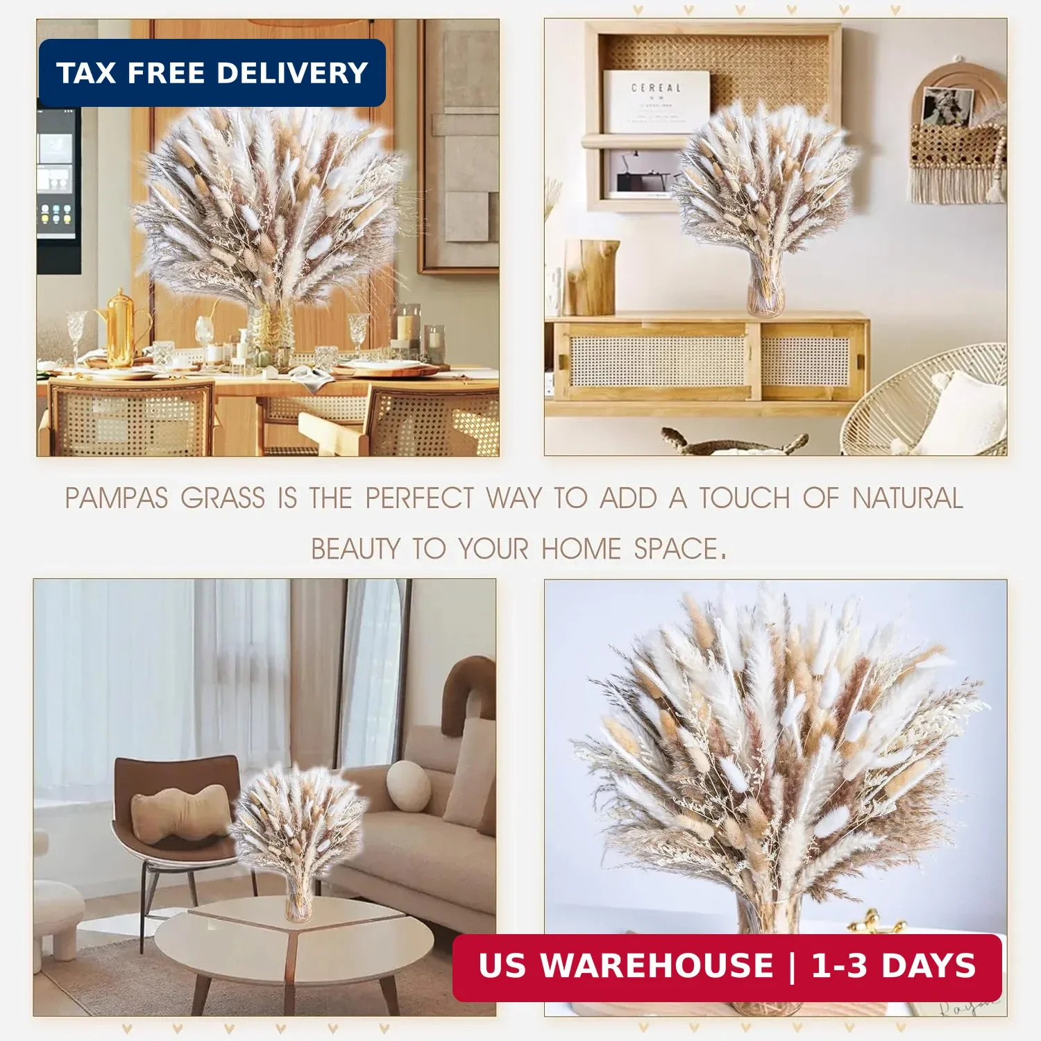 440PCS Natural Dried Pampas Grass Boho Home Decor Bouquet Phragmites Dried Flowe