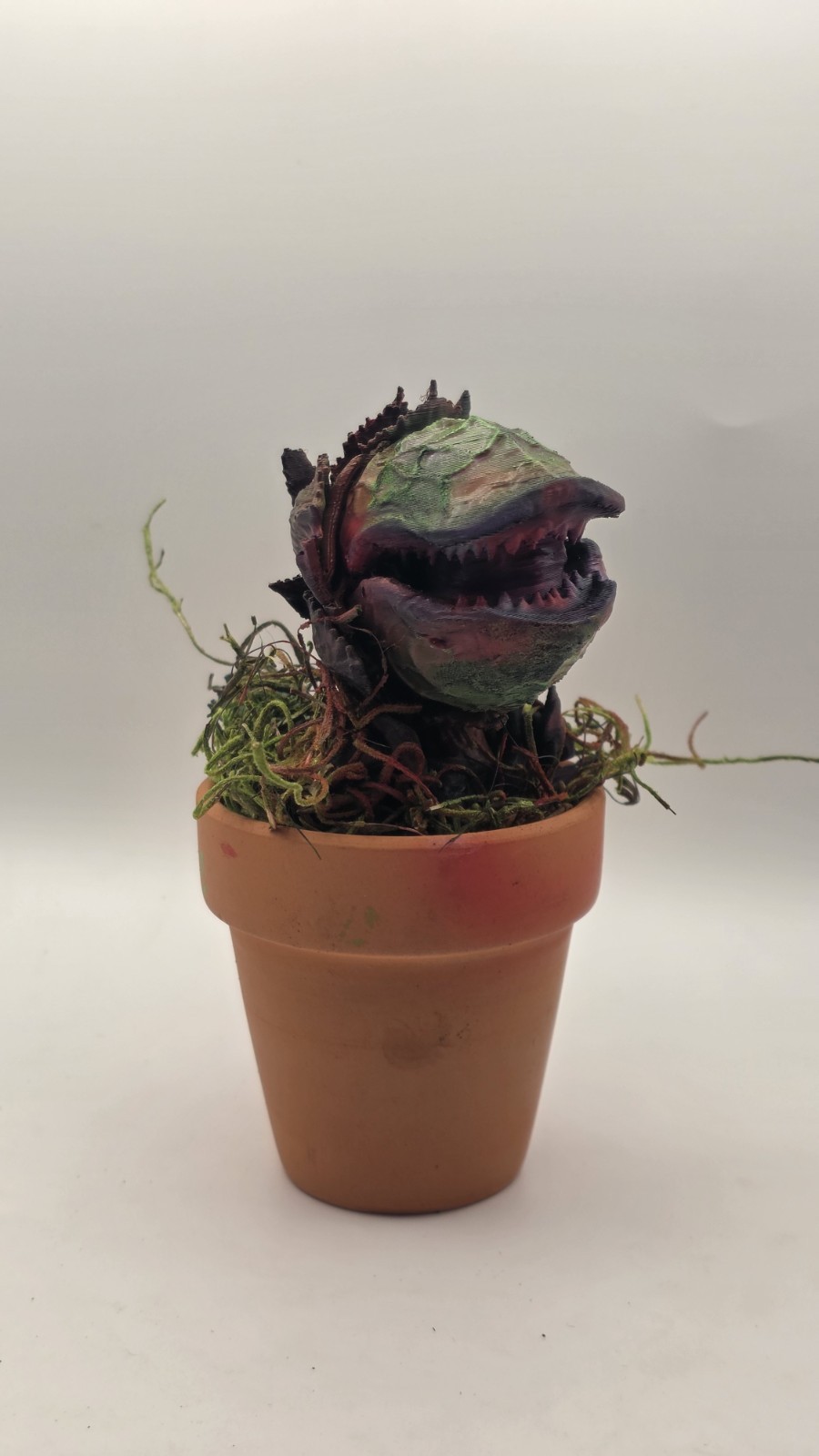 Audrey II Little Shop of Horrors Airbrushed Carnivorous includes Pot & Moss 5″