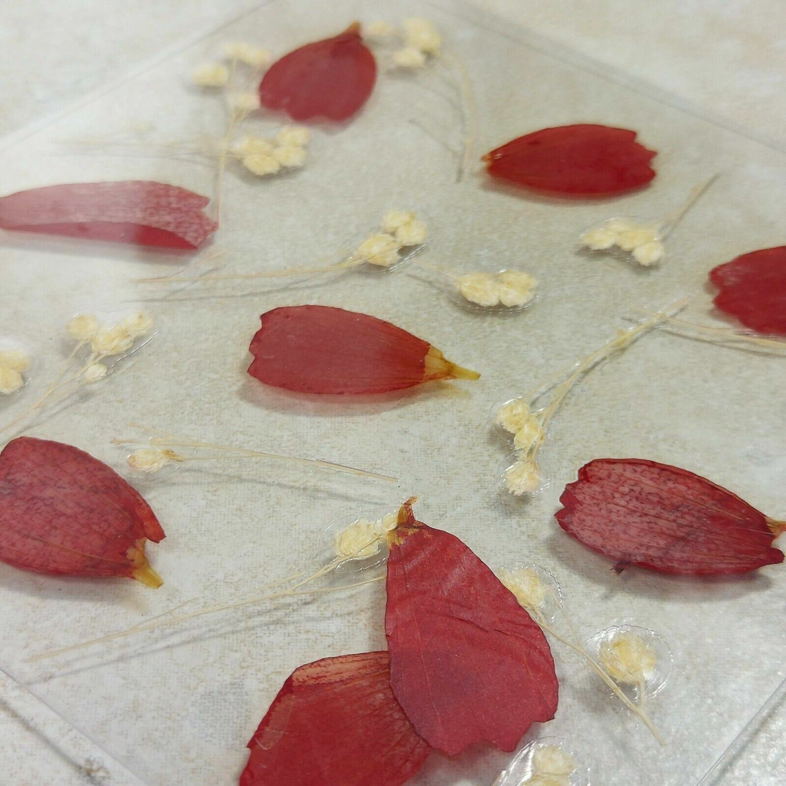 Dried Pressed Flowers Natural Flower Petal Set Resin Art Design Home Décor Gift