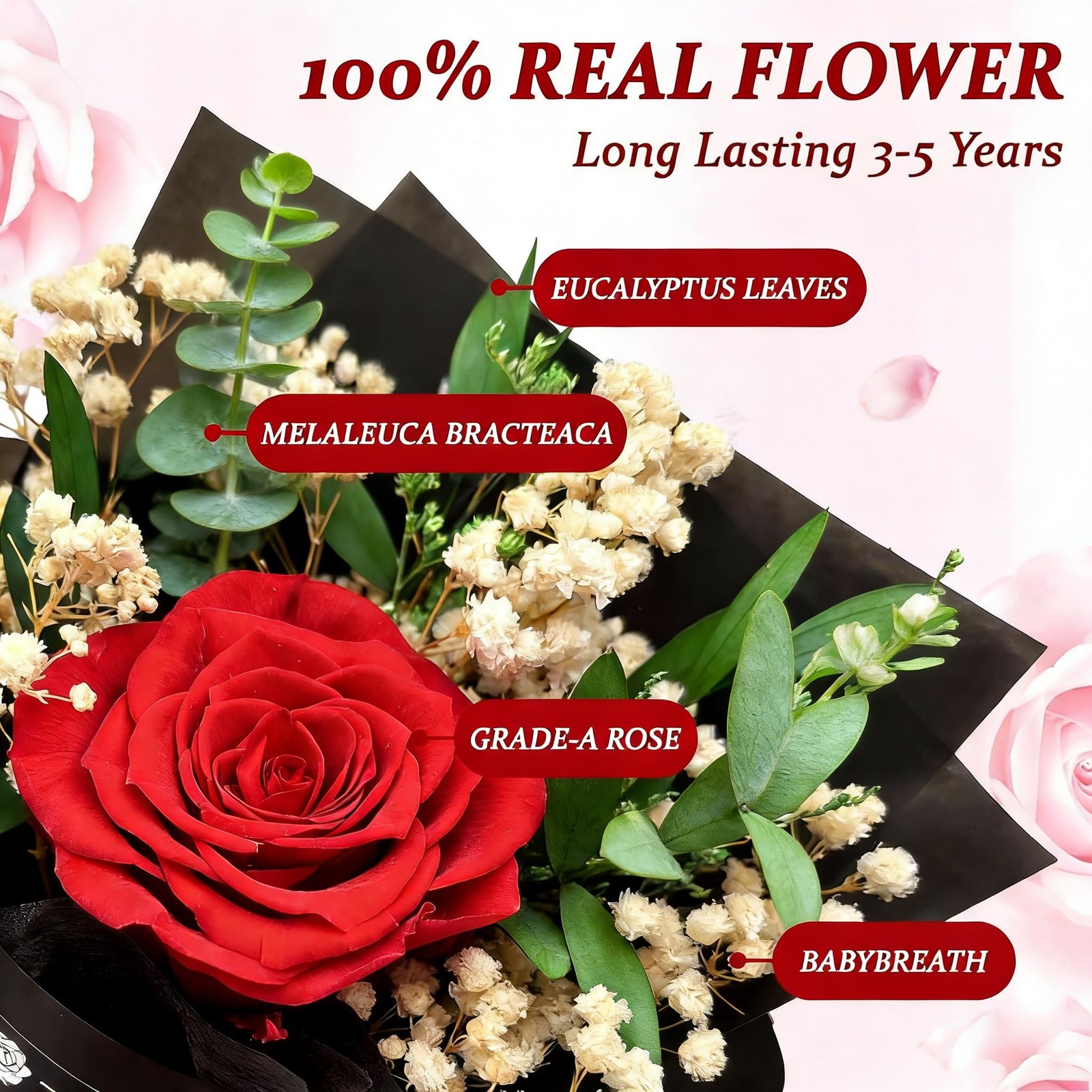 Real Preserved Red Forever Flower Roses Gift Box Valentines Day Anniversary