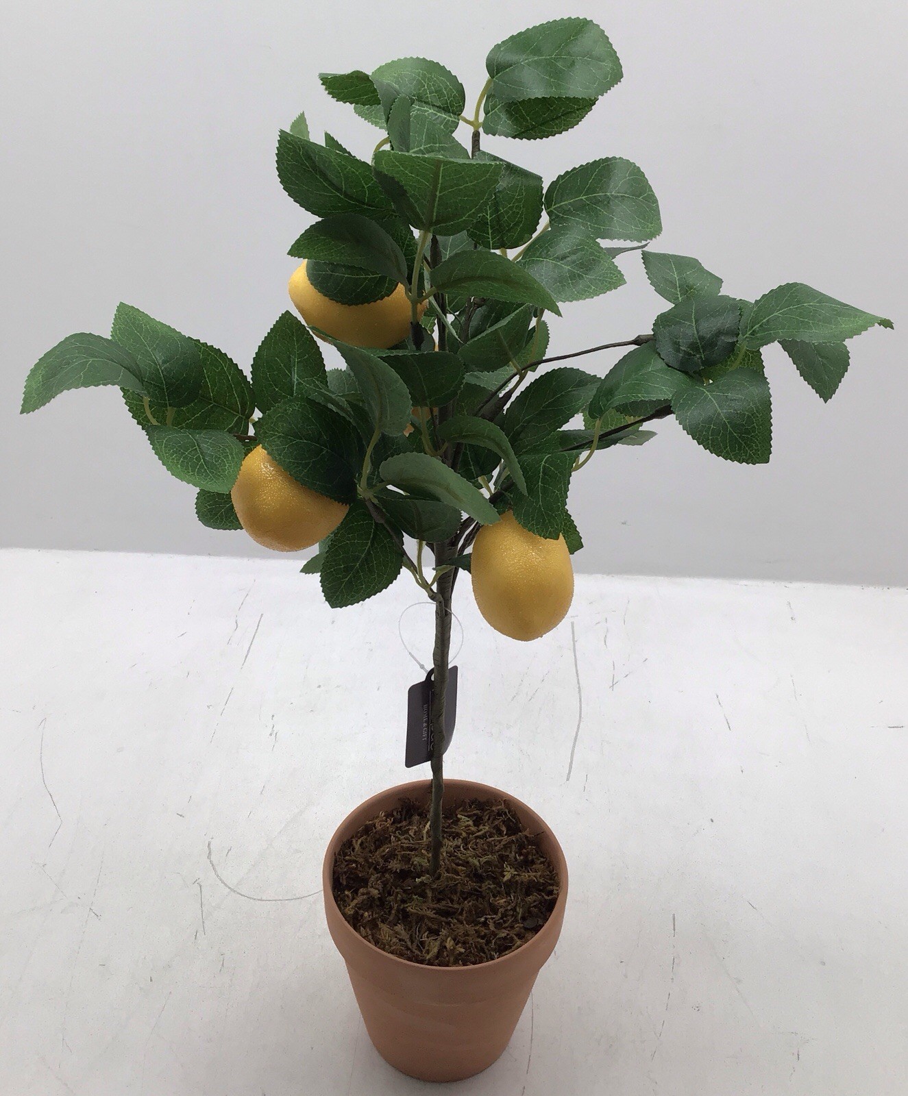 Transpac Faux Lemon Tree in Terracotta Pot Tabletop Plant 20 Inches Tall