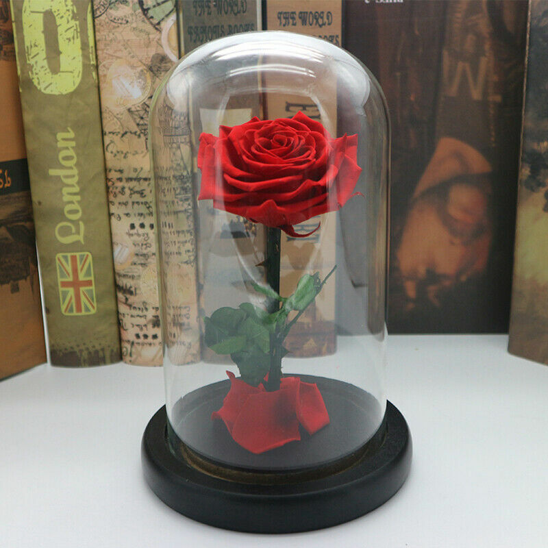 Red Blue Black Pink Forever Flower Immortal Fresh Rose in Glass Valentine’s Day
