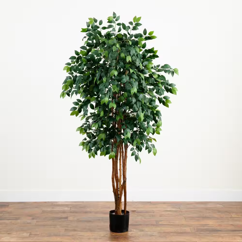 7 Ft. Artificial Sakaki Silk Tree