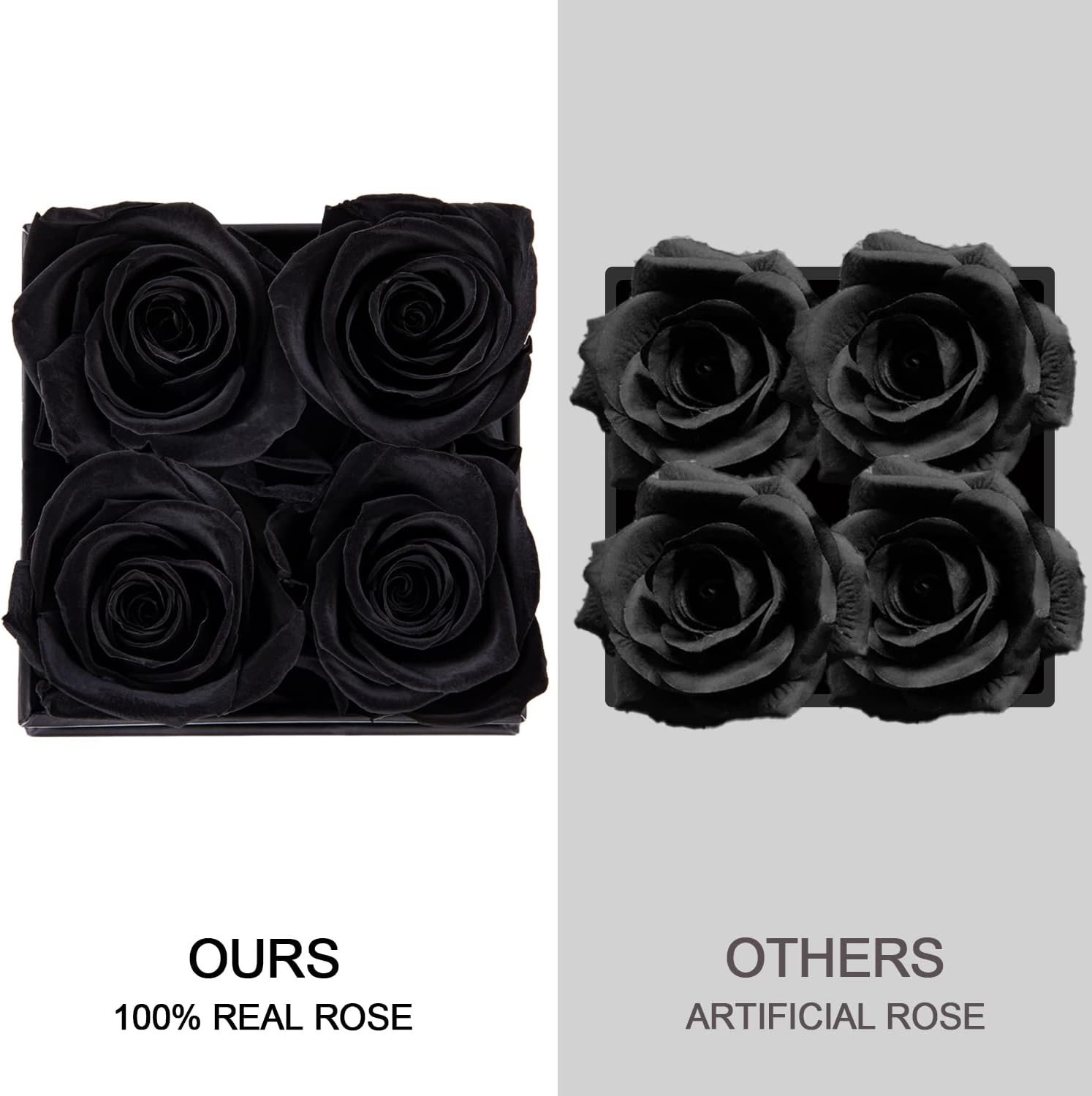 Black Preserved Rose in Elegant Box – Perfect Valentine’s & Birthday Gift