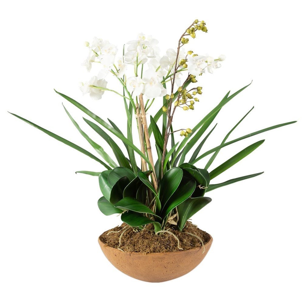 Uttermost UT-60039 Moth Orchid Planter in Hand Painted, Natural Brown, White