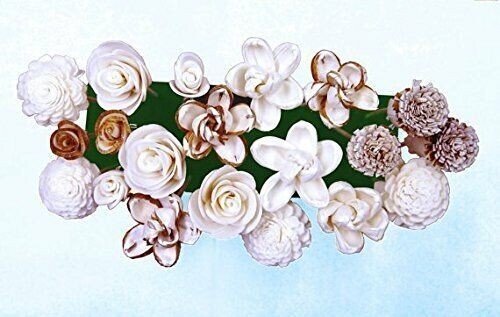 20 Balsa Artificial Sola Wood Flower with 5in. Rattan Reeds, Mix of Flowers