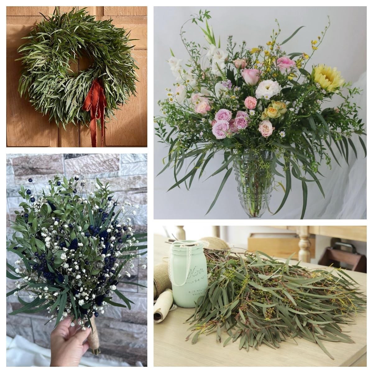 17” Real Dried Seeded Eucalyptus Stems for Shower, Preserved Natural Eucalyp…