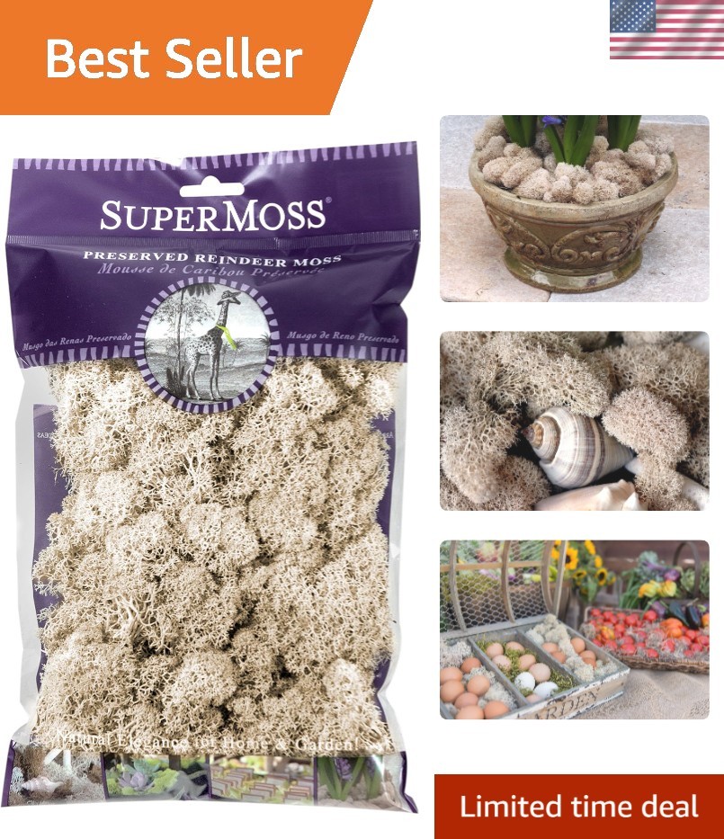 Natural Preserved Reindeer Moss, 120 cu in – Eco-Friendly Home Decor Essential