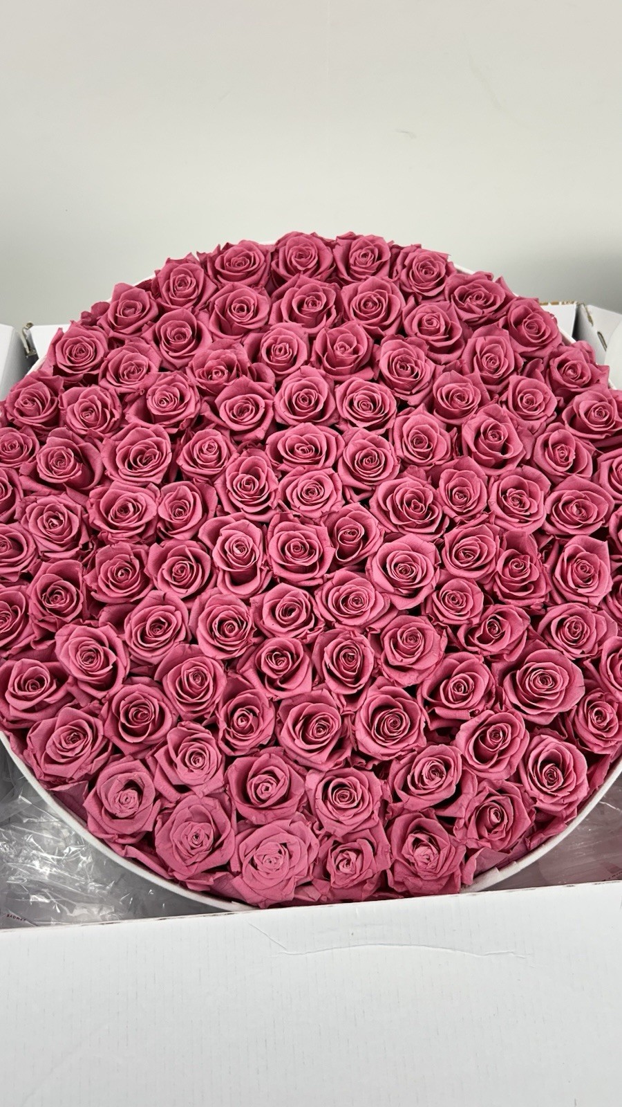 Perfectione Roses 100 Piece Preserved Roses in a Velvet Box- Pink Roses
