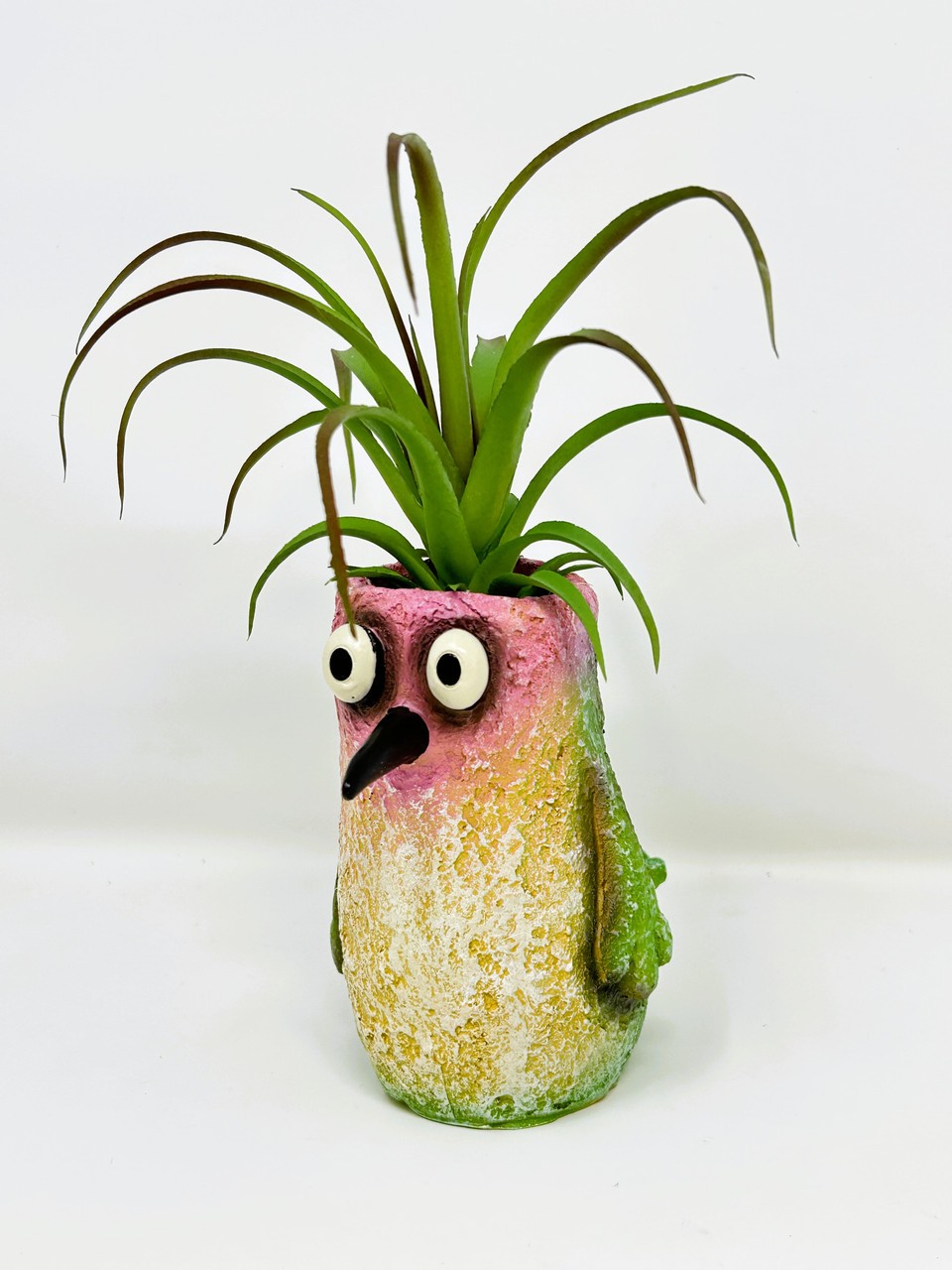 8″ Potted Flit HUMMINGBIRD Blob House Mini pot WITH faux Harrisii Air Plant