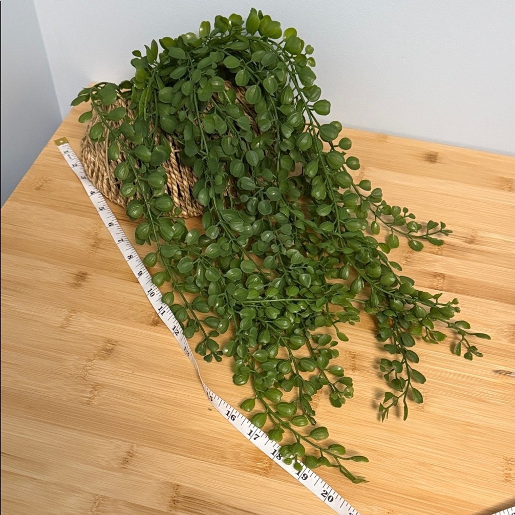 Fake Greenery in Hanging Woven Basket Dorm, Room, Apartment Decor