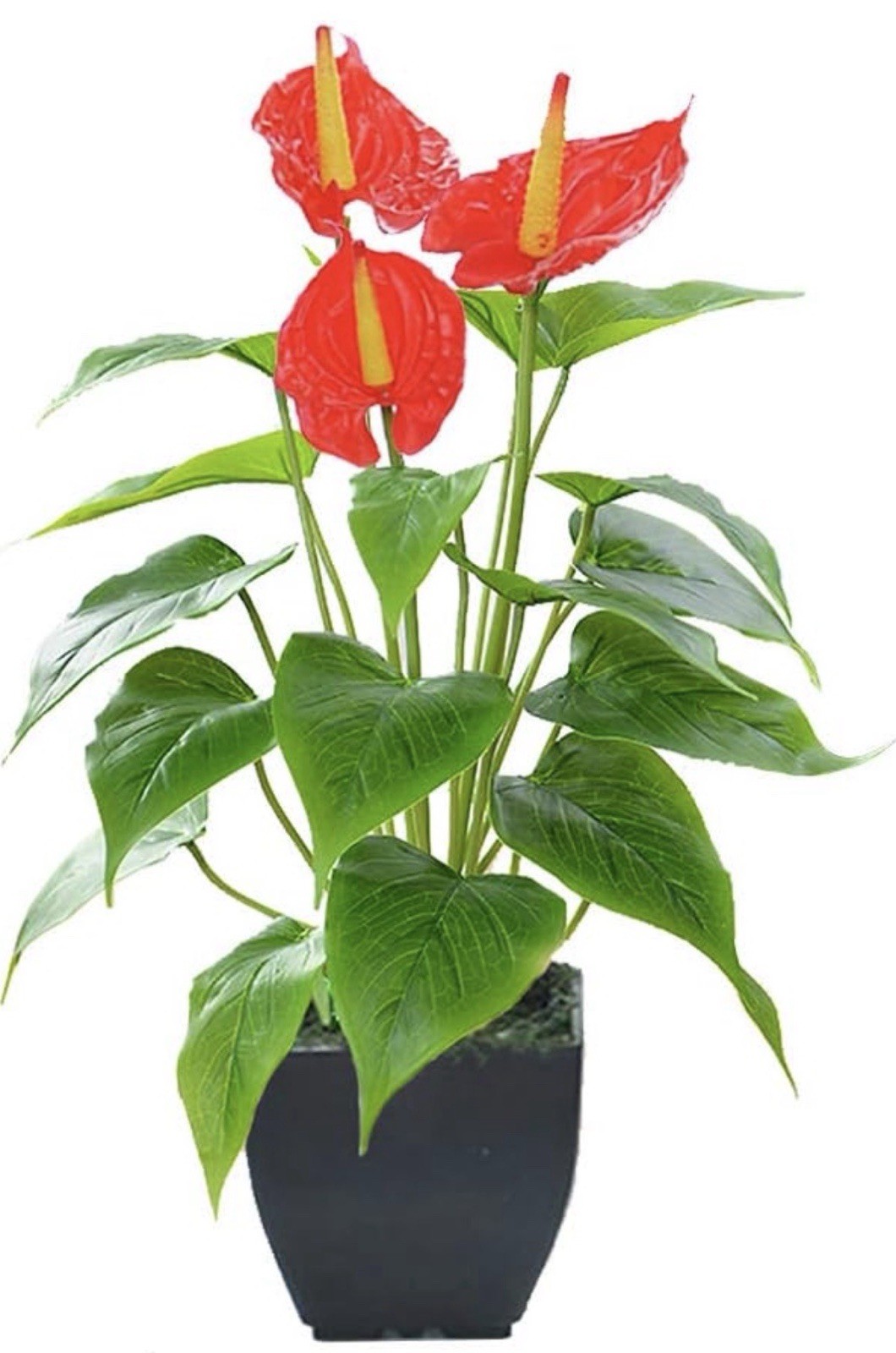 Artificial 33 In. Anthurium Lily Plant Red In Black Vase New Wedding Decoration