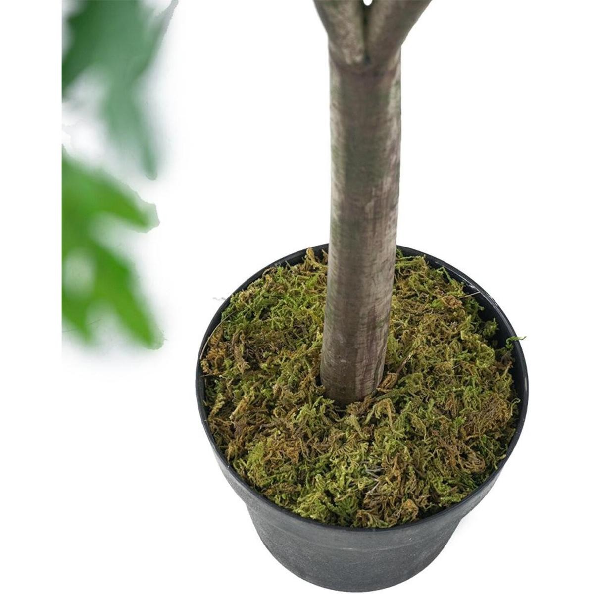 A&B Home EL411866-AB Anita Green Faux Plant