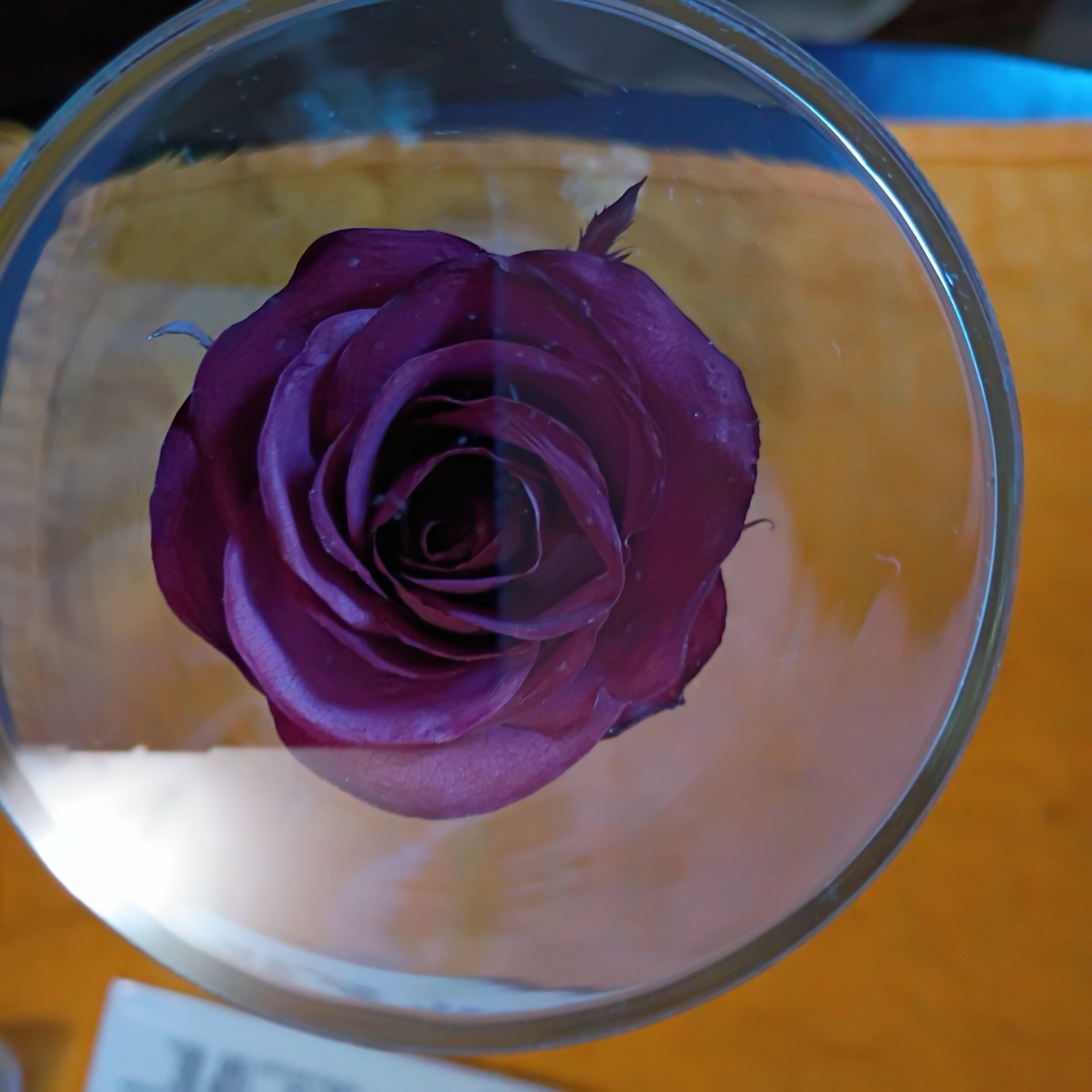 Beautiful Vintage Preserved Flowers Handmade Real Rose Sealed Glass