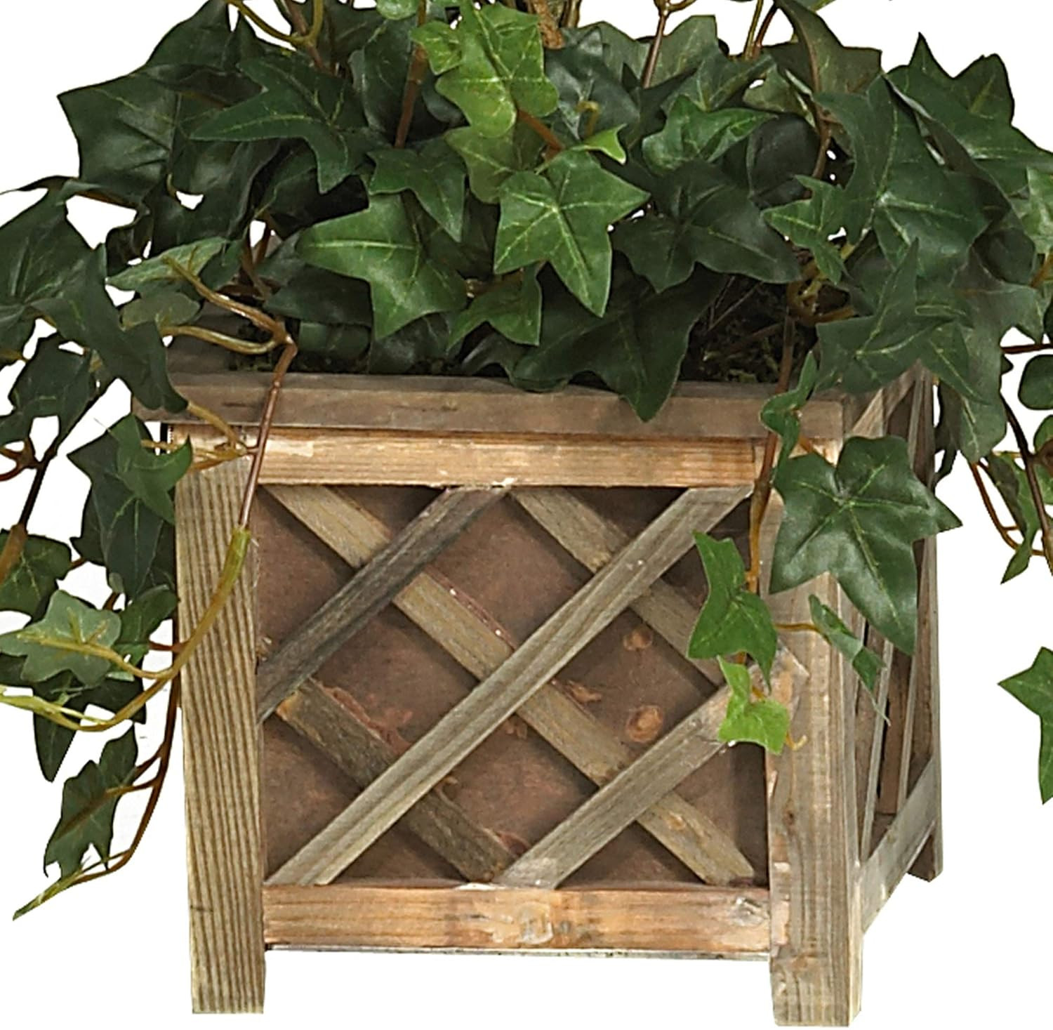 34″ Bougainvillea Topiary in Stylish Wood Box – Perfect Home Decor!