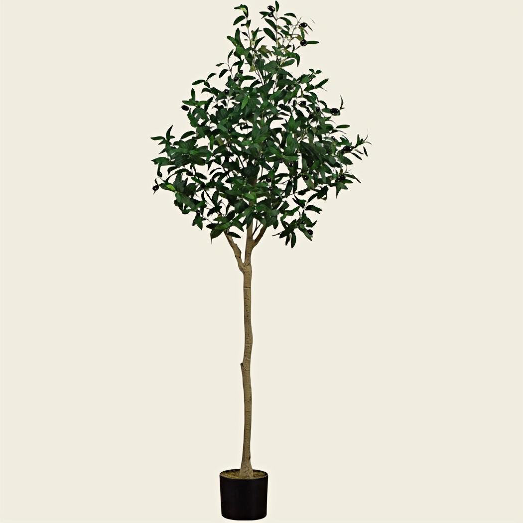 Colourtree Artificial Olive Tree for Office Home, Living Room
